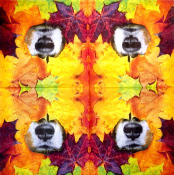 212 Dogs - 3-ply - Ambiente